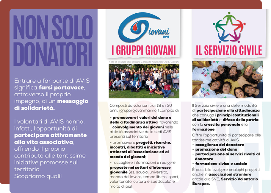 Avis giovani 2